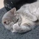 The alpha boss gaming room's icon