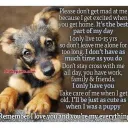 Aminal & Pet Rescue Team YouTube  Server