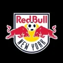 RBNY Supporters