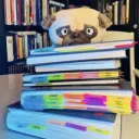 Robot Notebookers
