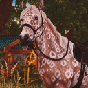 Star Stable Cottage Server Icon