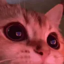 sheshhhhhhhhh Discord Server Icon