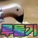 🎉 루둘기 서버
