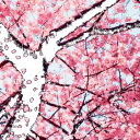 ꧁•⊹٭𝚃𝚑𝚎 𝙲𝚑𝚎𝚛𝚛𝚢 𝙱𝚕𝚘𝚜𝚜𝚘𝚖𝚜٭⊹•꧂ Discord server icon