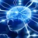 Le 2ème cerveau's icon