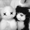 ✧･:* 공공 서버 *:･✧