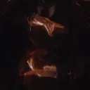 Eden's Coven