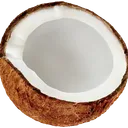 Tinsnuts'  CocoLand 🥥
