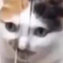 𝗻𝗮𝘇𝗿𝗶𝗸