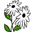 Daisy Fresh Squad