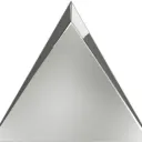 In Argentum Veritas