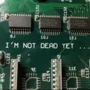 the WORLD WIDE WEB ! Discord Server Icon