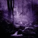 ︵︵ amaranthine evanesce. ꢾ🔮