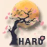 Haru — мониторинг Discord сервера, статистика и рейтинг