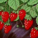 𝘛𝘩𝘦 𝘚𝘵𝘳𝘢𝘸𝘣𝘦𝘳𝘳𝘺 𝘗... Discord Server Icon