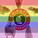 GAY RATS IN A DRYER