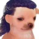 ~CARAS DE RÁBANO~