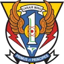 Carrier Airwing 1