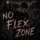 NO FLEX ZONE