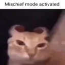 muse bot chaos