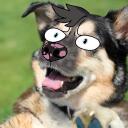 Oli Collieseum Discord Server Icon