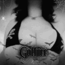 ๐ค . ๐๐๐ฑ ๐๐จ๐ญ๐ก๐ข๐๐ โก โ
๐๐๐
๐ ๐ โ