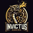 Invictus Gaming discord icon