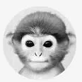 Da monkes's icon