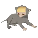 PB Wiki Hub