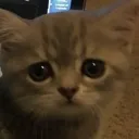 喫煙所
