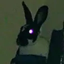 bad- habbits-and-chasing-rabbits