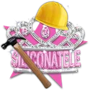 SILICONATELE - In Lucru 🛠