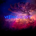 Vidyahost Eco server