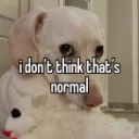 homophobic dog fanclub