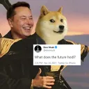 The DOGE Sigma Server