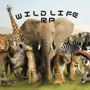 Wild Life | RP