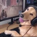 Pupp Pack