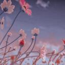 ~ The Falling Petals ~ [WCRP] Discord Server Icon