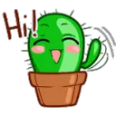 CactusStreaming