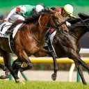 ナッツの競馬村