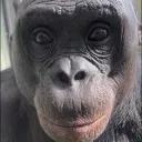 Banditts Takeover's icon