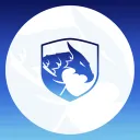 The Main Esports
