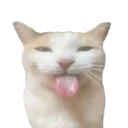 soon to be closed bitches's icon