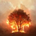 Ashes of Creation Discord Server Icon