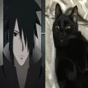 real Discord Server Icon