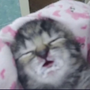 Lore's Tea House Discord server icon