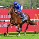 The Sporting Base - Racing
