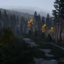 Wild Path DayZ