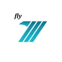 FlyWit Airline