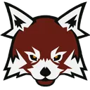 Afona esport